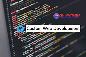 Custom Web Development Bangalore