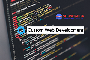 Custom Web Development